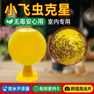 ��ω�T����С�w�x�皢�����҃�ȥ���w�x���ǏN����xճ�x���T�nω