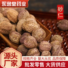 砂仁 中药材砂仁  阳春砂 春砂仁 物美价廉 量大价优 公斤包邮
