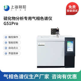 G51Pro硫化物分析专用气相色谱仪天然气中硫化物色谱分析仪