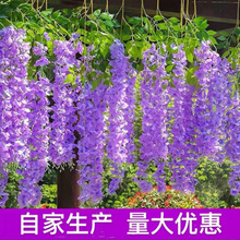 ���ٻ����_�m�ٗl�Ƶ����_�m��c��픻��҃������b�ֲ��ֱ�N�羳