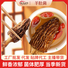 新货头茬羊肚菌云南特产干货批发大个无沙煲汤食材菌菇汤包礼盒