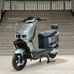 クロスボーダーの卸売りの電気自動車のオートバイのメーカーは直接に男女の代行の2輪の電気自動車の電気モーターを出します。