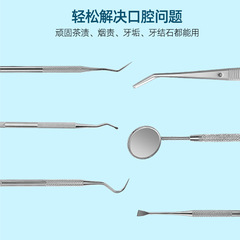 不鏽鋼牙醫工具6件套裝牙垢剔除器探針勾針潔牙結石寵物牙科口腔