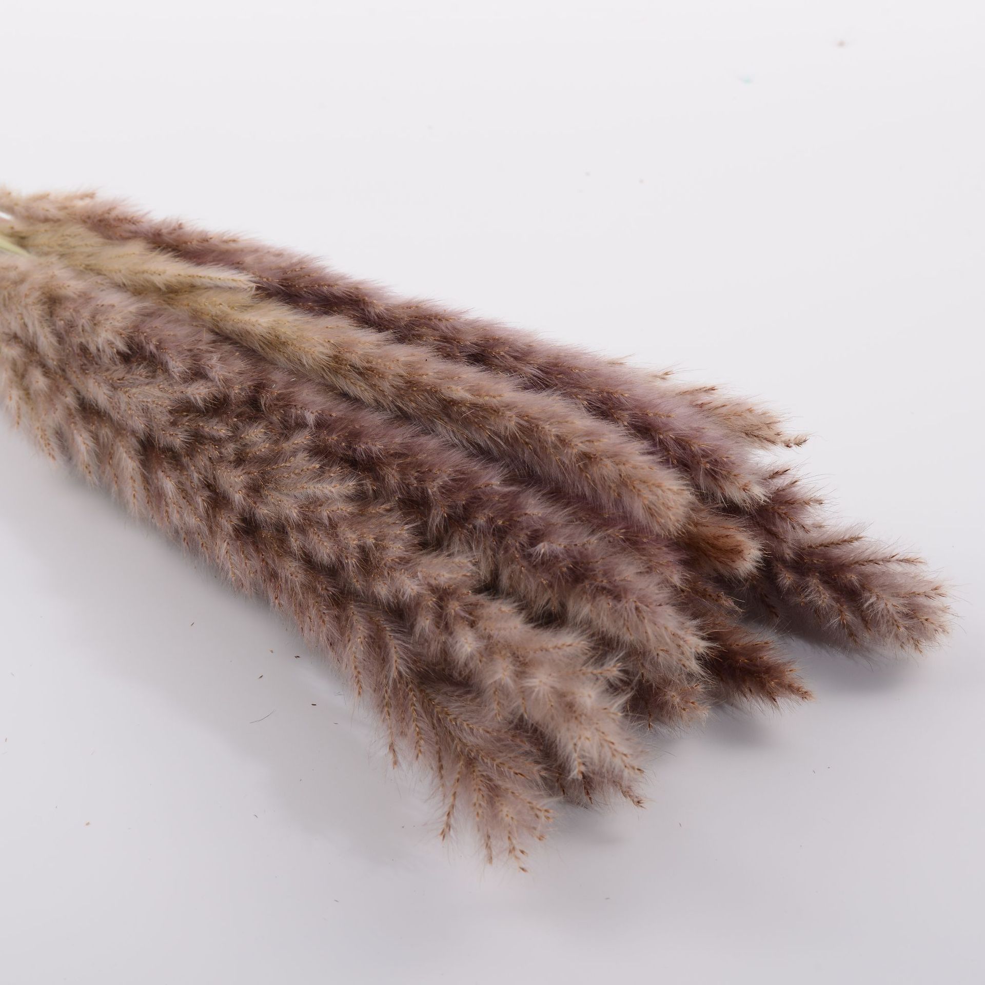 오리지널 컬러 15개입