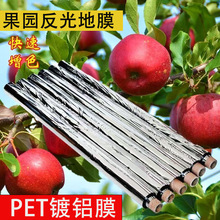 rù䷴ĤO@õĤˮɫ⼈petXĤ