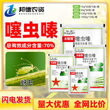 70%���x��S�����x���x�� θ���|��������ֲ���rș�����A��ľ���h