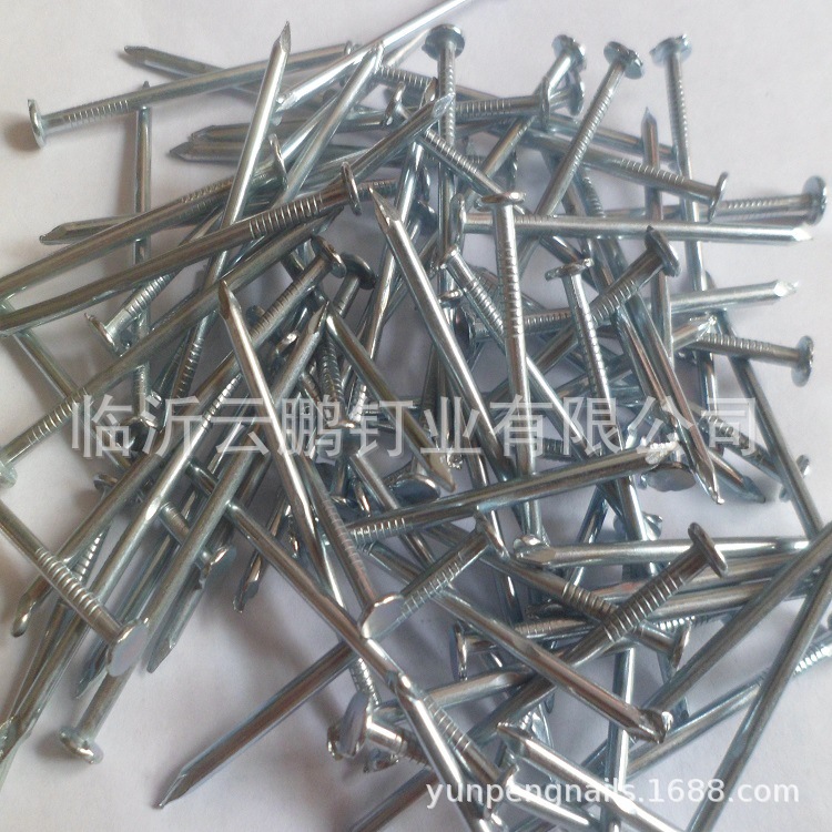 专业生产供应小钉子长度直径11，13,16,19,22,25,30mm