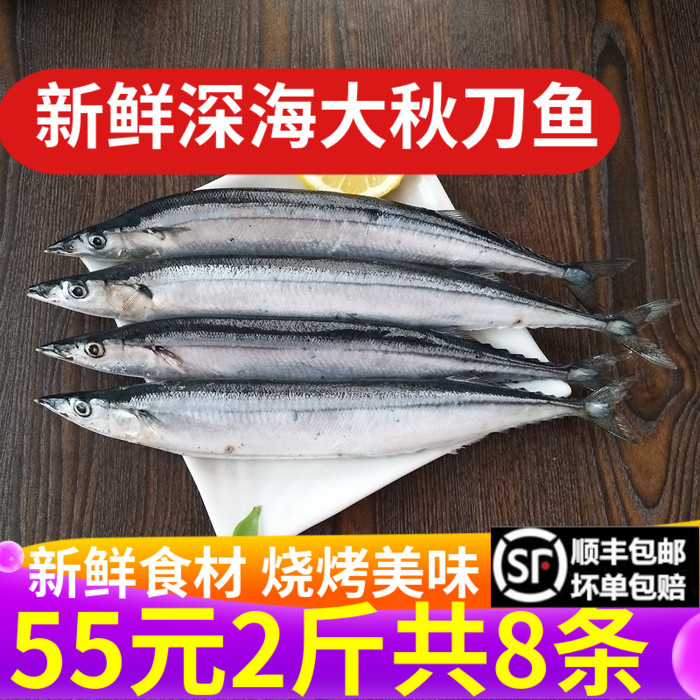 秋刀鱼鲜 冷冻2斤包邮顺丰新鲜海鲜鱼鲜活深海鱼日式烧烤食材商用