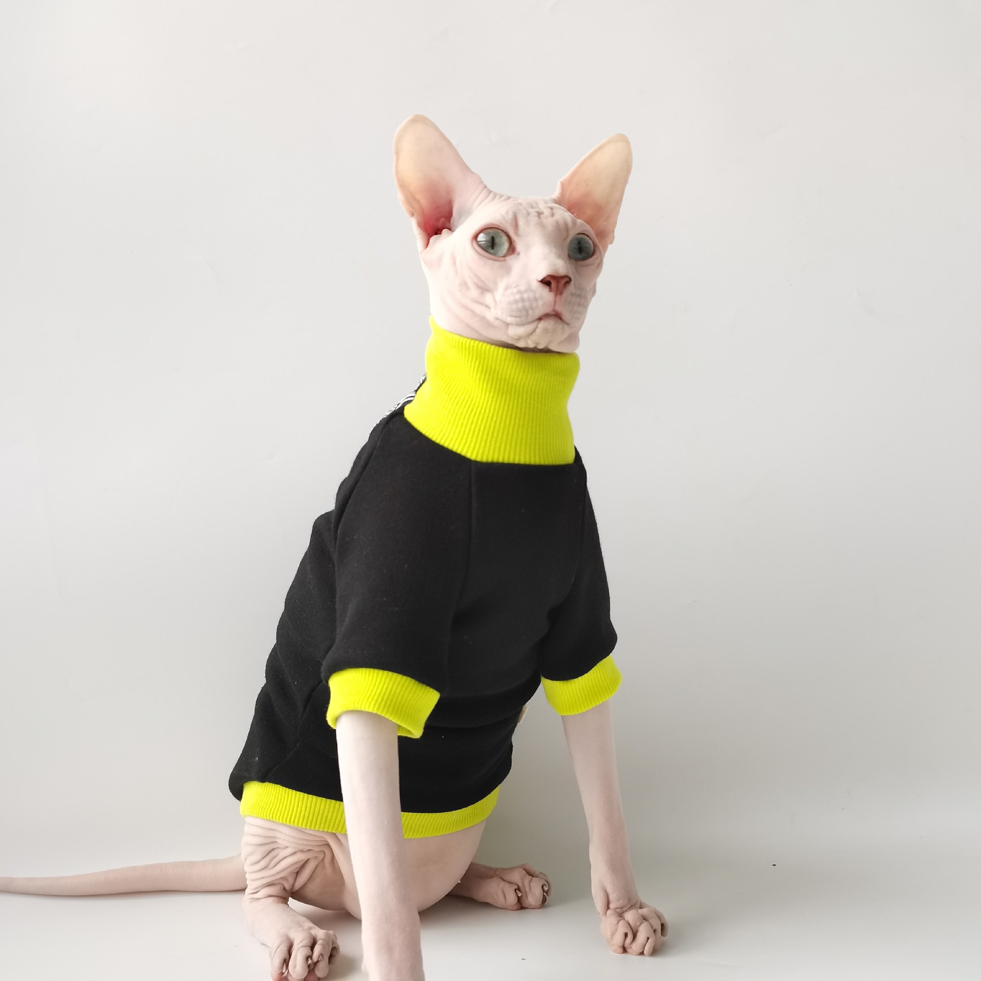 Pet Sweater Image 4