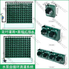 ֲ��Nֲ���{��@���̨��ֱ�G������ֲ��Ǡ��ڻ�����䳲����