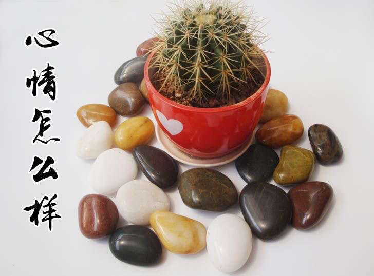 b21de2b3-4b11-48ef-82cd-b250311b2293.jpe