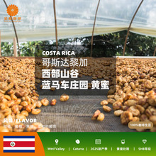 ��˹�_����M������ɽ���{�R܇ׯ�@�S�۾�Ʒ��������2025�®a��