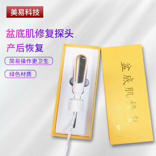 Factory Direct sales pelvic floor muscle repair reply probe pelvic floor muscle repair accessories two-core universal pelvic floor muscle probe