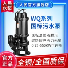 人民国标污水泵380v三相电上海国标潜水泵标准抽水水泵排污麦太保