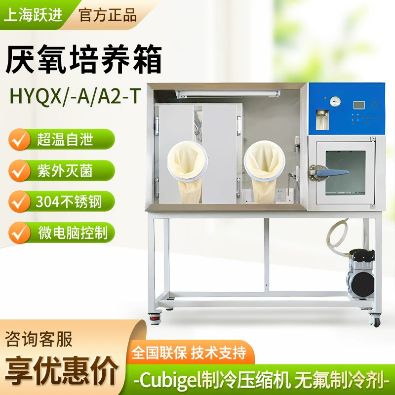 Анаэробный биологический инкубатор серии HYQX от Shanghai Yuejin для лабораторий