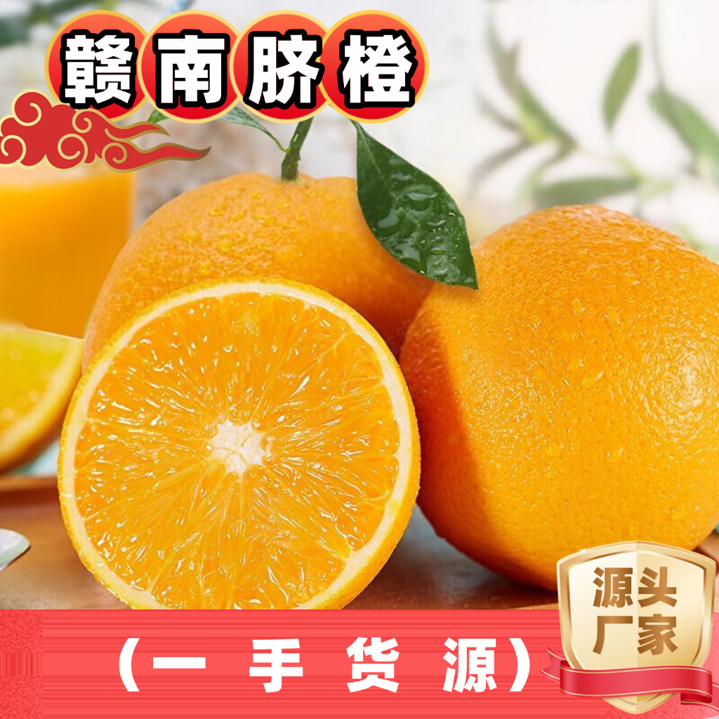 正宗赣南脐橙礼盒装时令水果橙子新鲜当季整箱5斤10斤