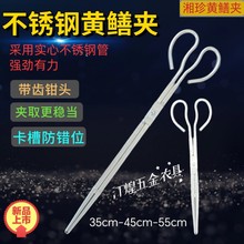 ���P��s���A�ӌ��ļӺ��S�X�A�X�~�A���q�з�Q�����r���eλ�OӋ