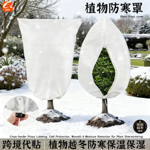 ֲ������ֿ羳�����@ˇ��Ʒ��ľֲ����@���ط������������o����