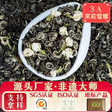 广西横县茉莉花茶2023年新茶浓香型春茶茉莉绿茶茶叶耐泡厂家批发