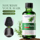 English shampoo SADOER Rosemary anti-dandruff fluffy soft shampoo cross-border foreign trade factory direct sales