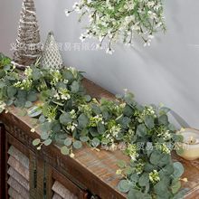 �������Gֲ�ȼ����ٗl�羳�Ҿ��b����ٗl����~�����Gɫֲ��