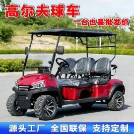 电动观光车;高尔夫球车;其他电动车