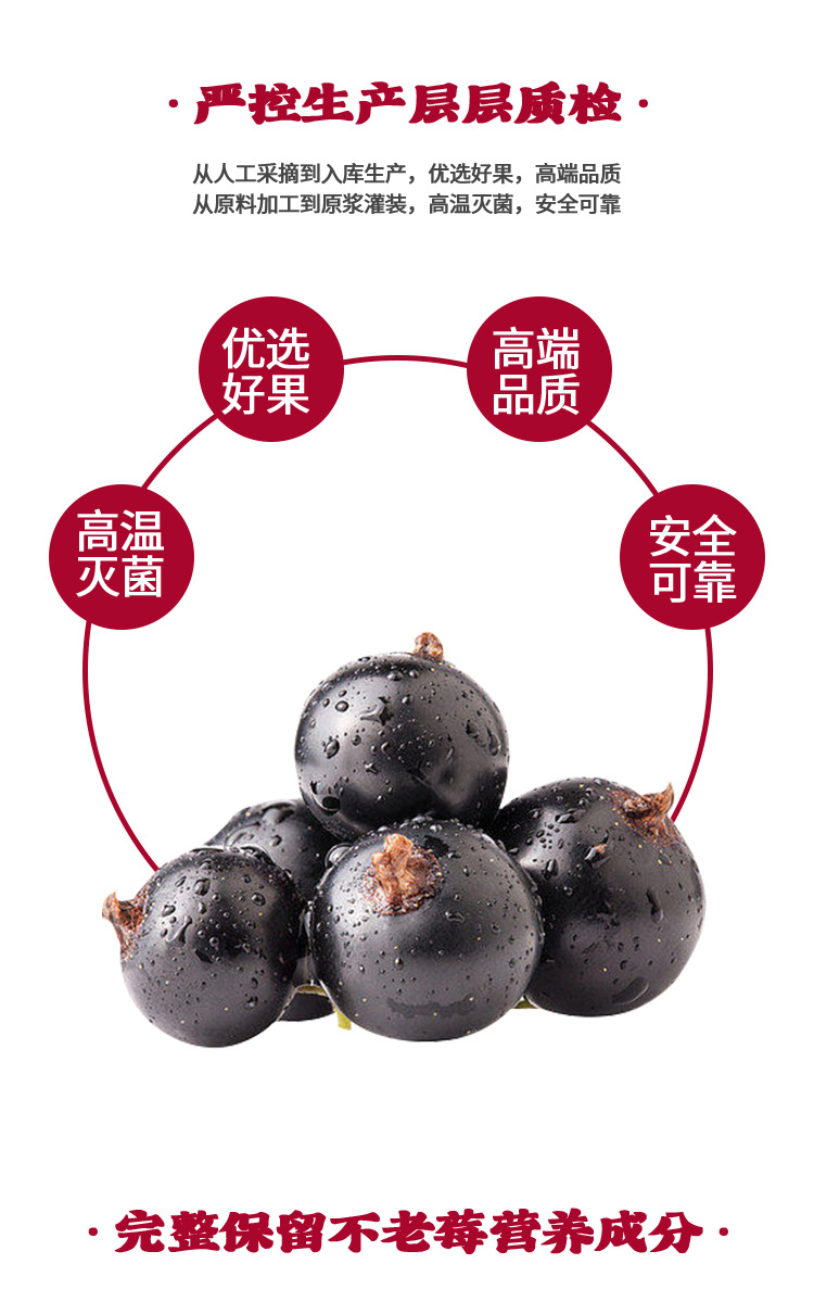 Aronia Berry Puree Oral Liquid Anthocyanin Wild Cherry Black Chokeberry 500ml Box key features