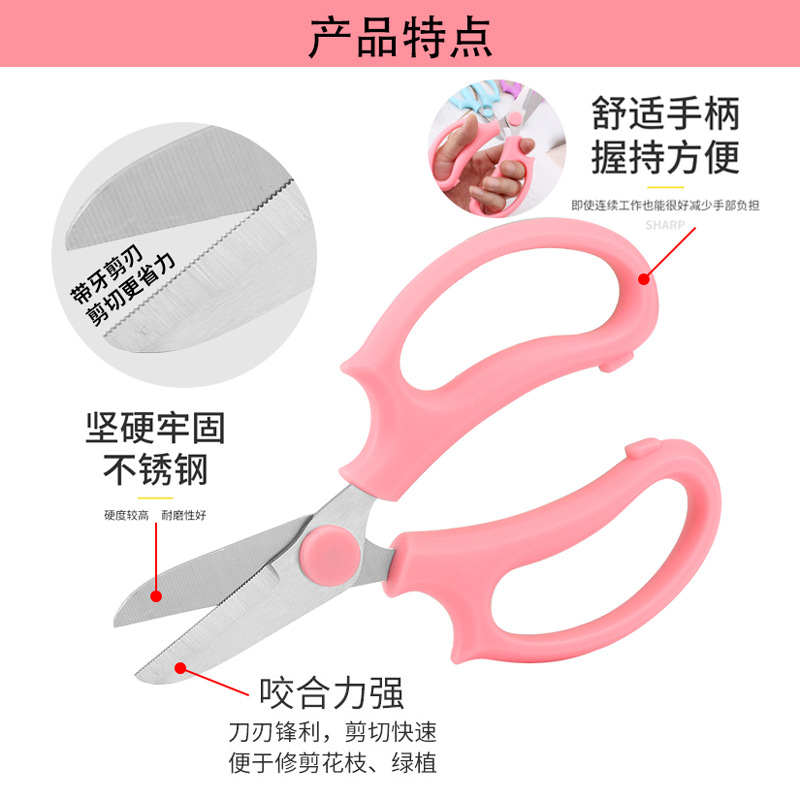 꽃 가지 가위 특수 꽃꽂이 가위 장미 꽃 가지 치기 꽃 가위 원예 꽃집 도구