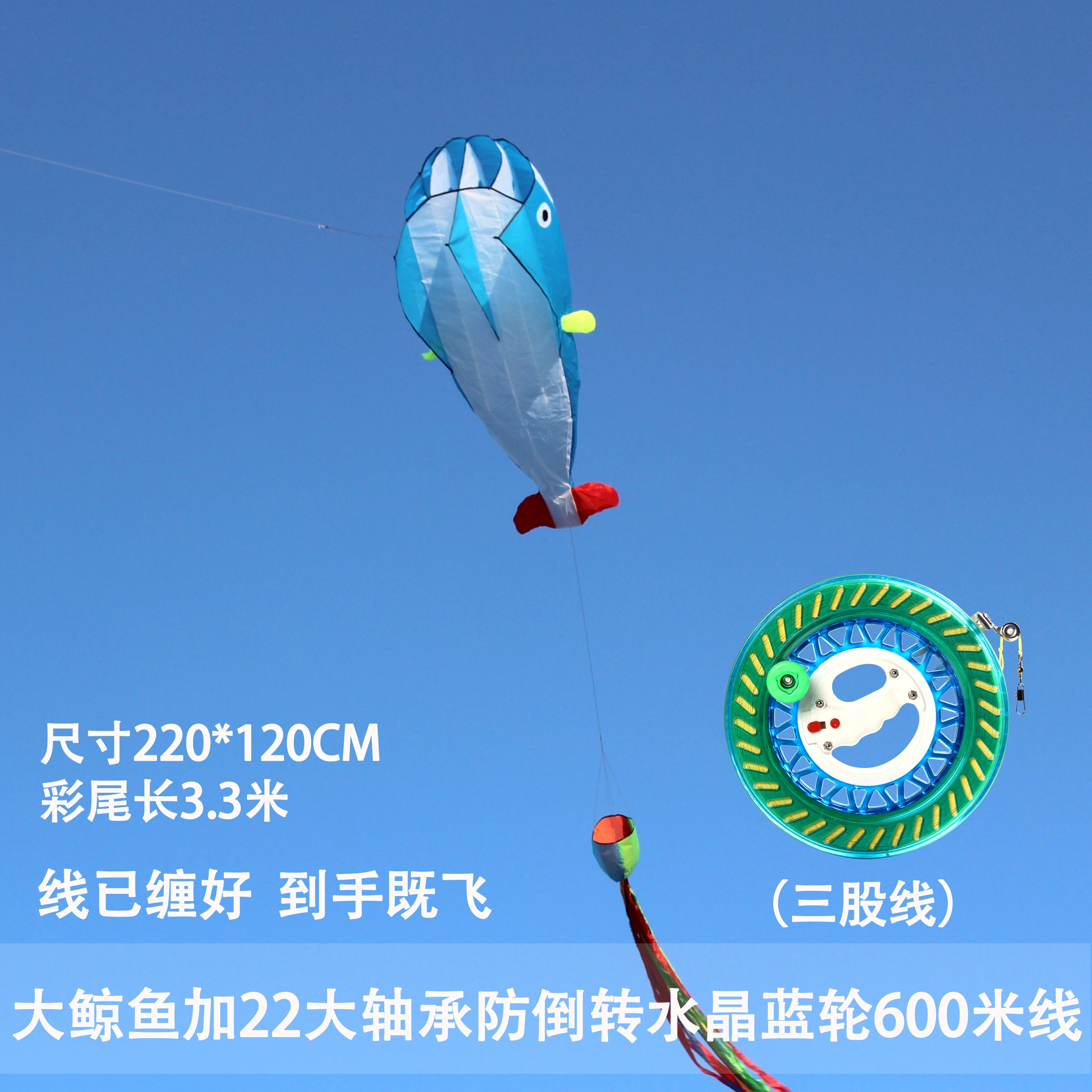 Kite for adults