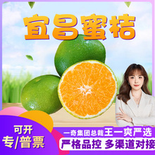 【严选】湖北青皮蜜桔 代发3斤酸甜无籽甜桔子早熟青柑橘应季水果