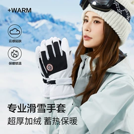 滑雪手套;登山、徒步包;成人手套