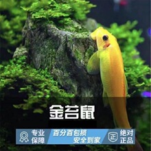 ��̦���̦���~�Ꭷ�^�p�~��������~�~�׳����~�坍�~���~�����~