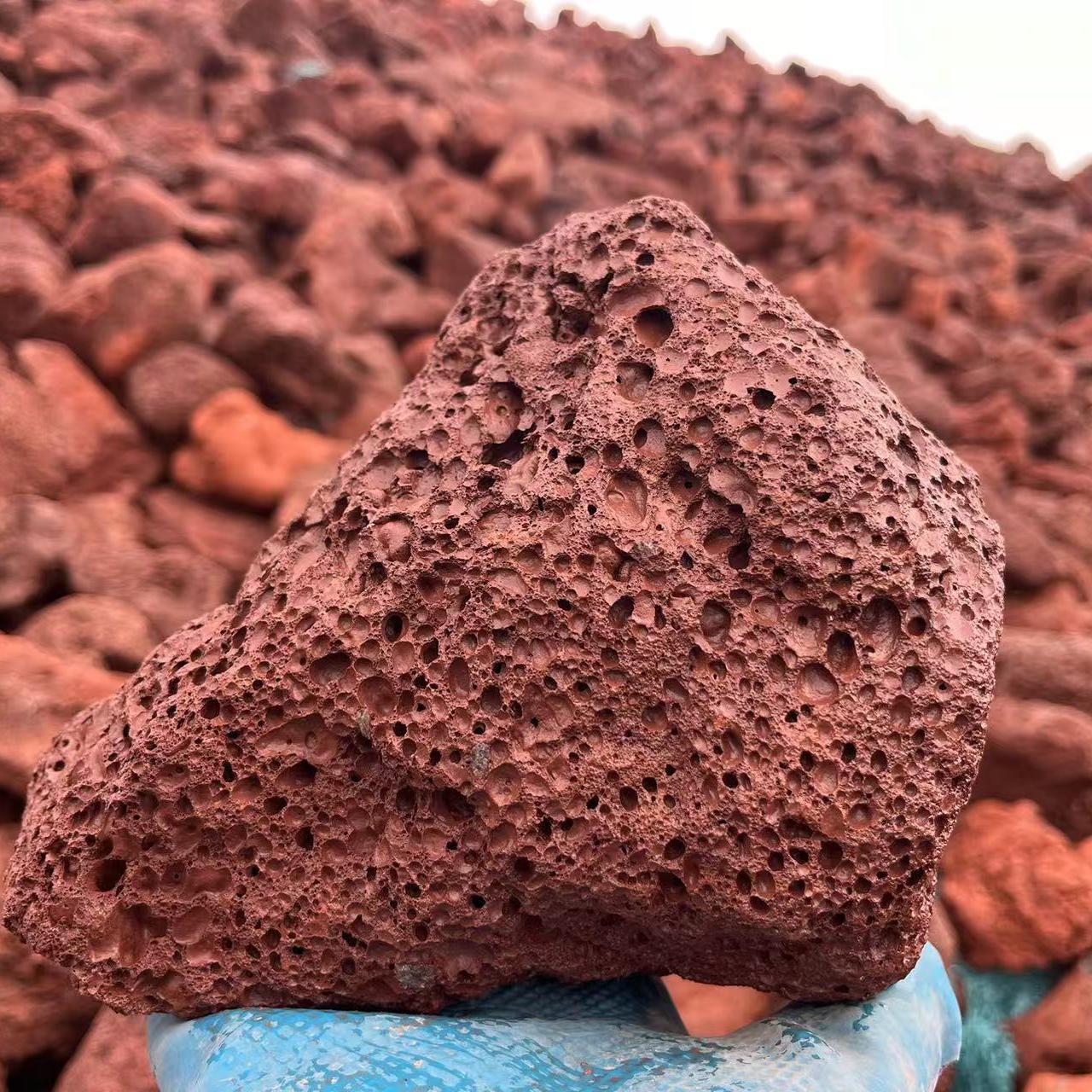 2개 12- 15cm [꼭 잡아야 함]