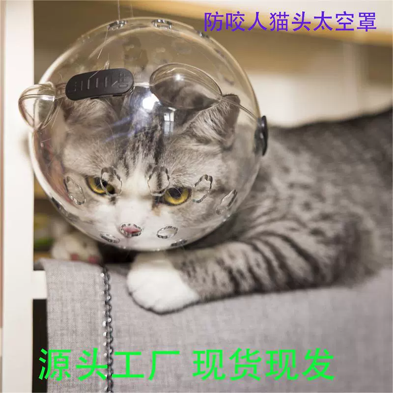 Ошейник-маска для кошек, защита от укусов, мягкий, дышащий, с регулируемым размером, легкий