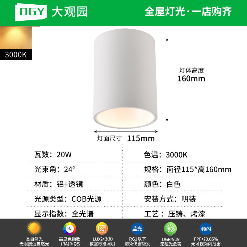 Da Guanyuan lámpara de techo Led Led Light Downlight House Pasillo de la sala de estar sin lámpara principal 495L image 31