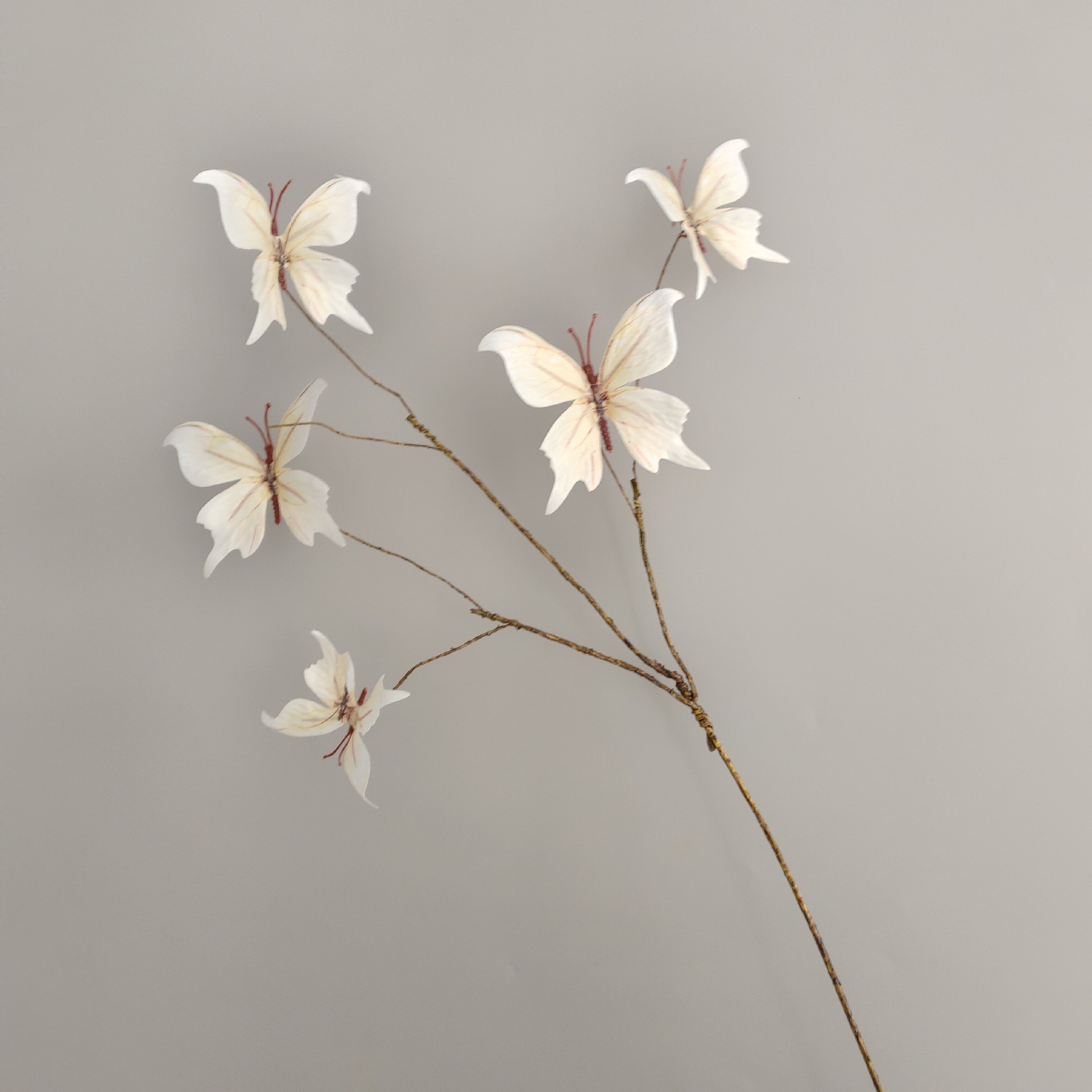 5등신 베이지 70cm