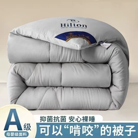 纤维被;床单、被单;其他枕芯