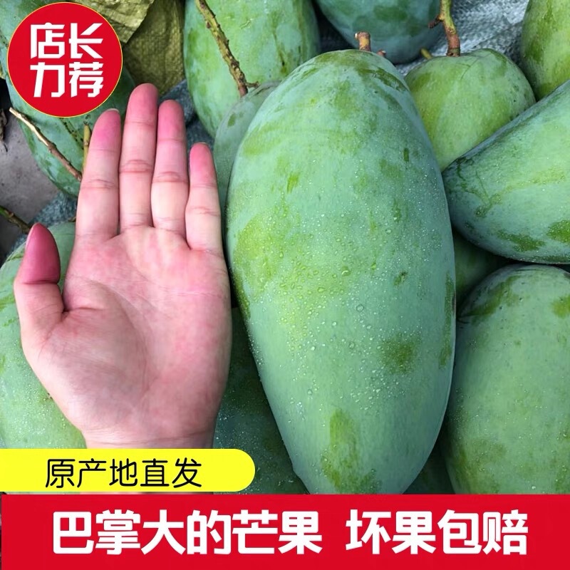 Guangxi Baise Golden Huang Mang, Large Green Mango, Extra Large Mango, Fresh Seasonal Fruit, Mango, One-Piece Drop Shipping