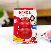 KONG���ﹷ����ߺ��J���z©ʳ���S�������ҧĥ�����J��Ȯ�S�s