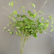 ����ֲ��Сˮ���~�����~ ���Wins�ҾӘӰ��g�Ƶ��c�b����ռٻ�