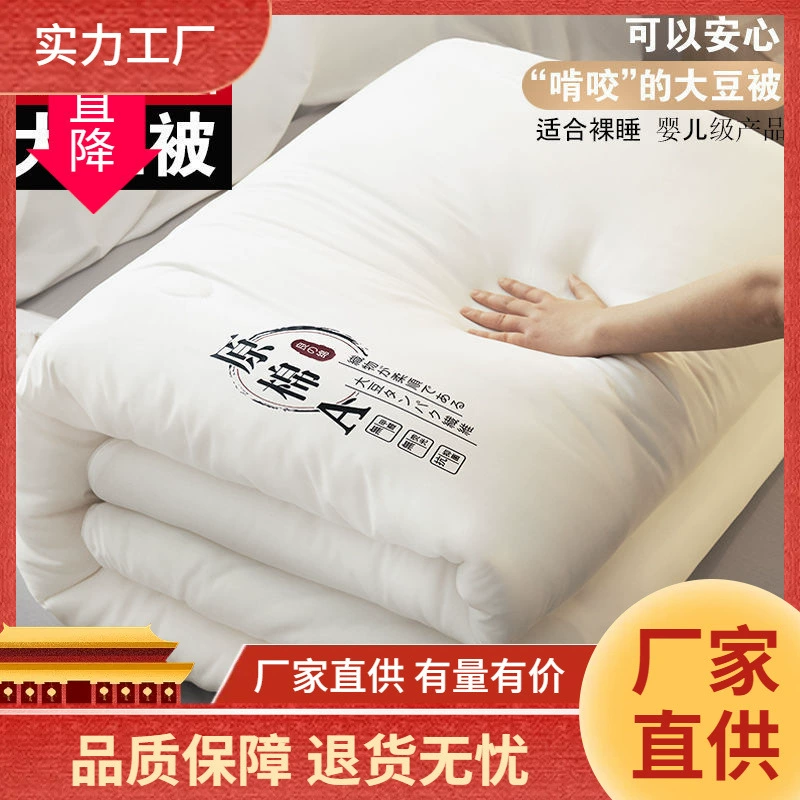 Антарктическое хлопковое одеяло из сои утолщено и тепло зимнее одеяло