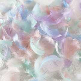 彩色羽毛6—8厘米小飘闺蜜马卡龙手工DIY礼盒填充物礼花筒逗猫棒