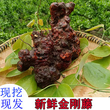 �F؛�F؛�F��Ұ�����r���ָ��������F����R������ș���ݾ����ٰl