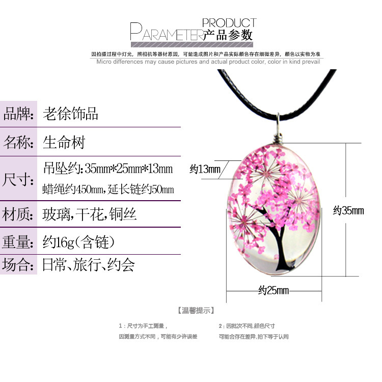 4060744781_1054313750