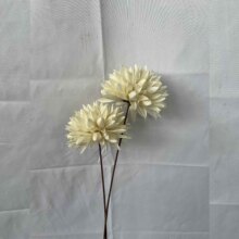 �����m���R�t���_�Ļ�ľƬĵ��̫ꖻ���ɏ�������ɻ��ҾӲ廨