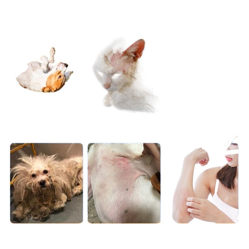 宠物驱虫药浴狗狗洗澡驱虫除虱蚤螨虫强效猫癣狗癣药浴泡澡沐浴露|undefined
