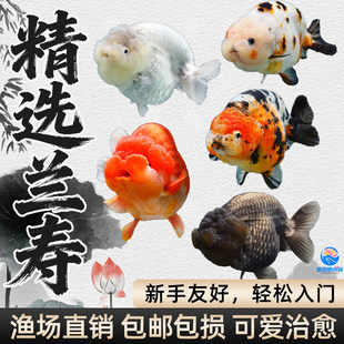 �����m�۽��~��Ʒ�~���^�p�~�廨��ţ�t���m�����ֺ��B�ͻ���ˮ�~