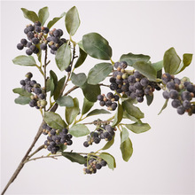 ɽ֦滨͏dҾb[ˇzӰ{ݮl