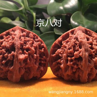 �u����������Ҙ��� ����^ ������ ������ ����Y���ϱ����Nֲ