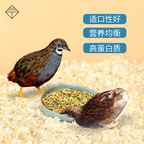 Rutin chicken egg-laying food, general brooding, quail staple food, mealworm nutrition, vegetable breeding feed, bird pet